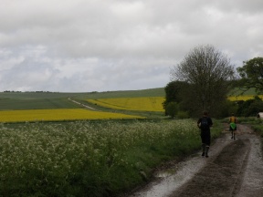 Looking east from Avebury; some twenty bodies are hoofing up and down the lane.